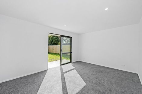 Photo of property in 45 Collisson Street, Leeston, 7632