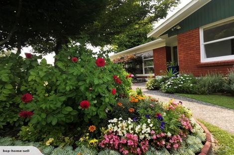 Photo of property in 1 Aurora Street, Sunnybrook, Rotorua, 3015