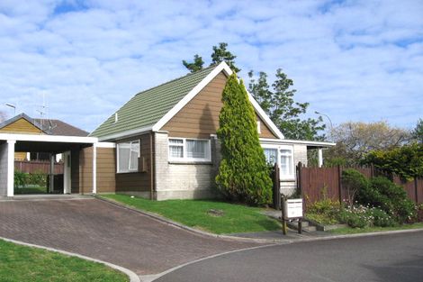 Photo of property in 109m Maungatapu Road, Maungatapu, Tauranga, 3112