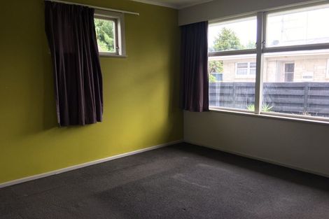 Photo of property in 49 Fitzroy Avenue, Fitzroy, Hamilton, 3206