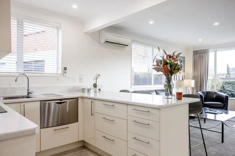 Photo of property in 6a Hereford Street, Roslyn, Dunedin, 9010