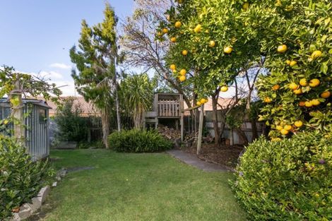 Photo of property in 6 Hall Street, Napier South, Napier, 4110