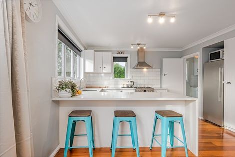 Photo of property in 51 Lincoln Street, Ashhurst, 4810