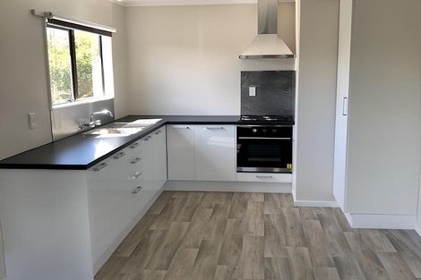 Photo of property in 60b Bandon Street, Frankton, Hamilton, 3204