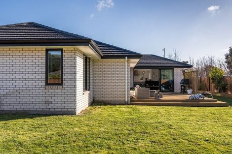 Photo of property in 225 Taylor Pass Road, Witherlea, Blenheim, 7201