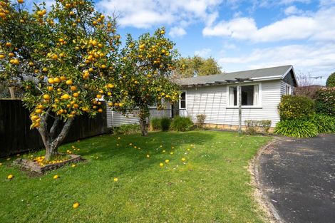 Photo of property in 51 Grosvenor Street, Cambridge, 3434