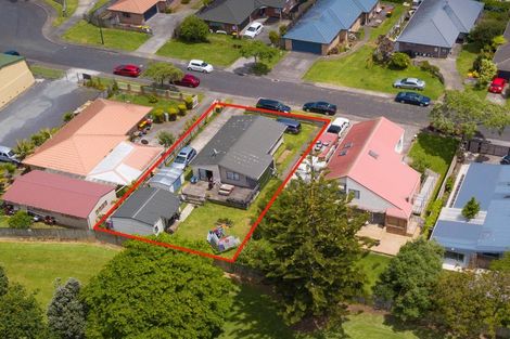 Photo of property in 24 Freda Place, Favona, Auckland, 2024