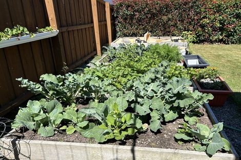 Photo of property in 34 Lydiard Drive, Rolleston, 7615