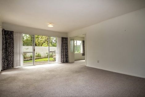 Photo of property in 33 Hereford Street, West End, Palmerston North, 4410