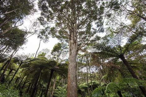 Photo of property in 74 Waiparera Road, Parua Bay, 0192