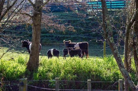 Photo of property in 273 Brunswick Road, Brunswick, Whanganui, 4571