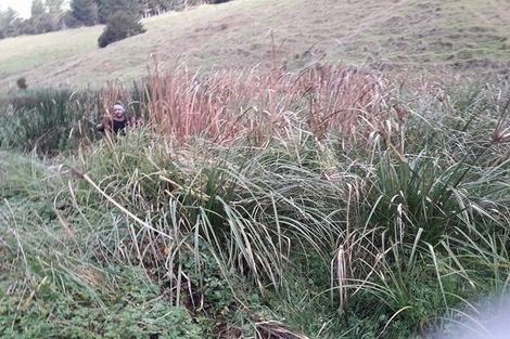 Photo of property in 160 Tunnel Road, Puhoi, Warkworth, 0994