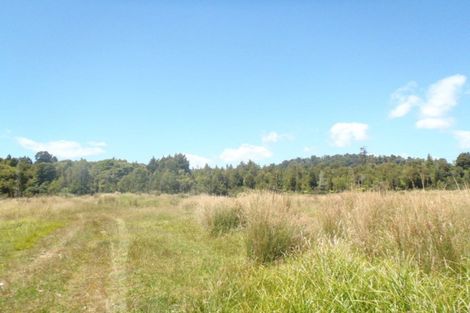 Photo of property in 204 Limestone Road, Marsden, Greymouth, 7872