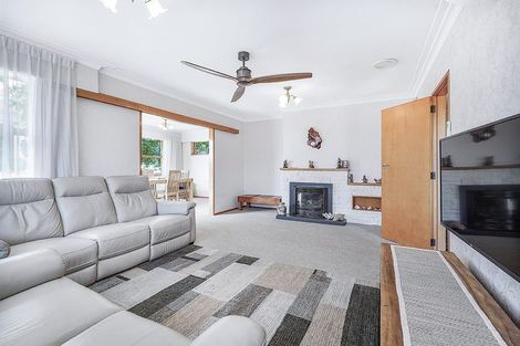 Photo of property in 25 Wight Street, Huntly, 3700