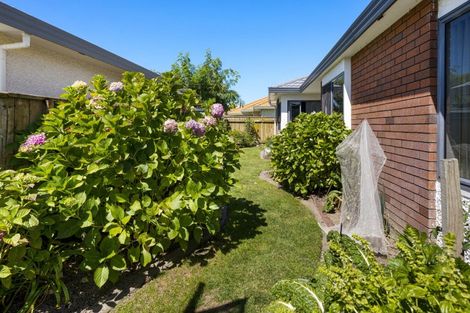 Photo of property in 2/7 Wilton Row, Taradale, Napier, 4112