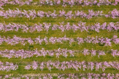 Photo of property in 192 Strode Road, Earnscleugh, Alexandra, 9391