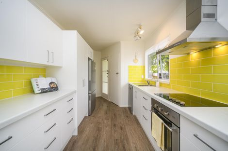 Photo of property in Mod Code 00exb, 117 Te Ngaio Road, Bunnythorpe, Feilding, 4775