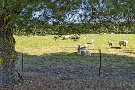 Photo of property in 111 Adams Road, West Melton, Christchurch, 7671