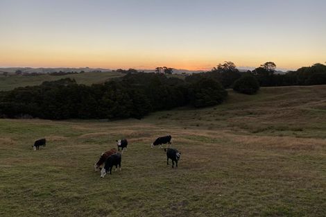 Photo of property in 567 Wharehine Road, Wharehine, Wellsford, 0973