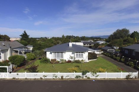 Photo of property in 62 Barraud Street, Dannevirke, 4930