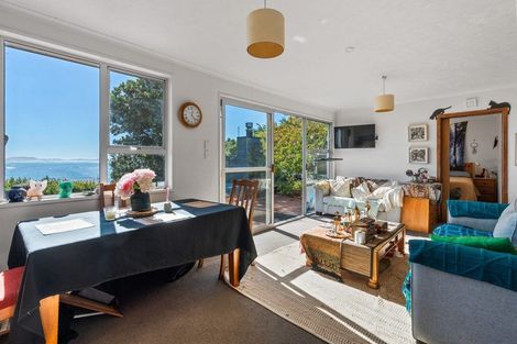 Photo of property in 55 Shag Point Road, Shag Point, Palmerston, 9482