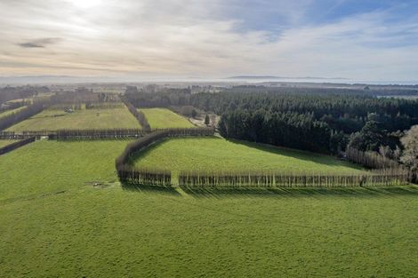 Photo of property in 10 Jelfs Road, Woodend Beach, Woodend, 7691