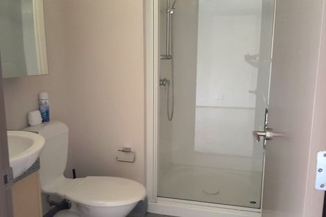 Photo of property in Dual Apartments, 210/142 Vivian Street, Te Aro, Wellington, 6011