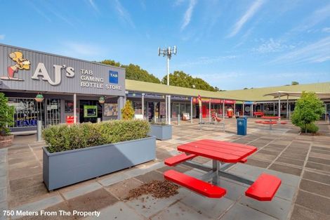 Photo of property in 23 Vine Avenue, Maungatapu, Tauranga, 3112