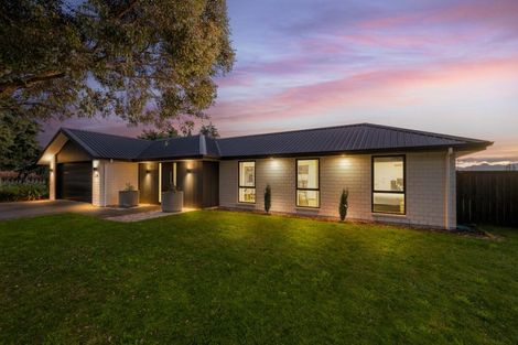 Photo of property in 238 Taylor Pass Road, Witherlea, Blenheim, 7201