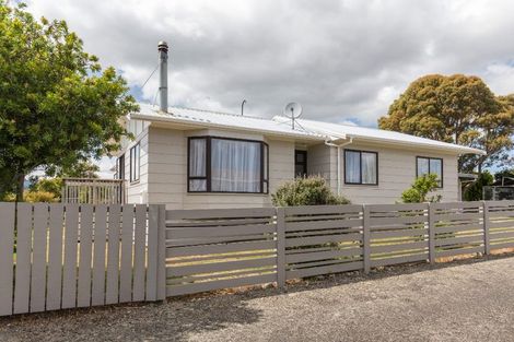 Photo of property in 9 Douglas Street, Levin, 5510