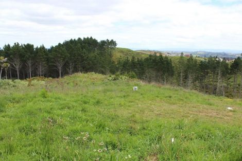 Photo of property in 167 Solway Road, Whitford, Manurewa, 2576