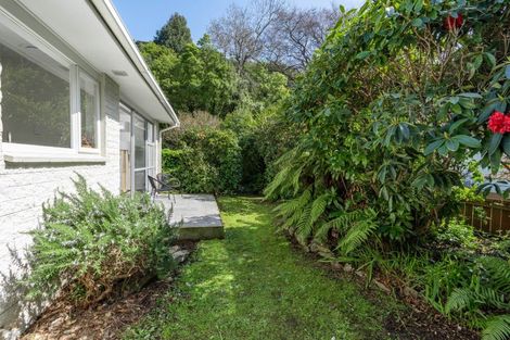 Photo of property in 15 Duchess Avenue, Dunedin Central, Dunedin, 9016