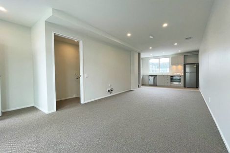 Photo of property in Aniva Terrace, 18 Ferguson Street, Newtown, Wellington, 6021