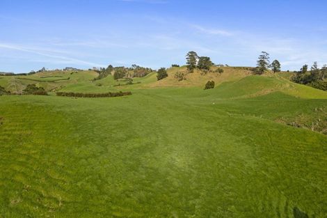 Photo of property in 1234 Richmond Road, Everett Park, Inglewood, 4389