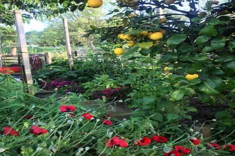 Photo of property in 54 Tiraumea Road, Pahiatua, 4981