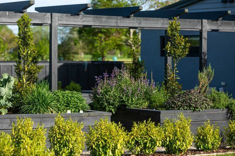 Photo of property in 18 Orchard Place, Matamata, 3472