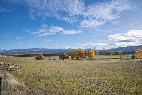 Photo of property in 309 Golden Road, Springvale, Alexandra, 9393