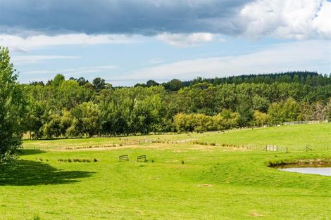 Photo of property in 438b Oruawharo Road, Oruawharo, Wellsford, 0975