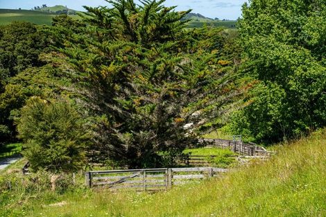 Photo of property in 278 Griffin Road, Maungaturoto, 0583