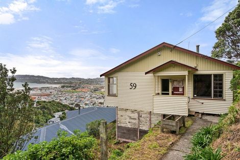 Photo of property in 59 Hornsey Road, Melrose, Wellington, 6023