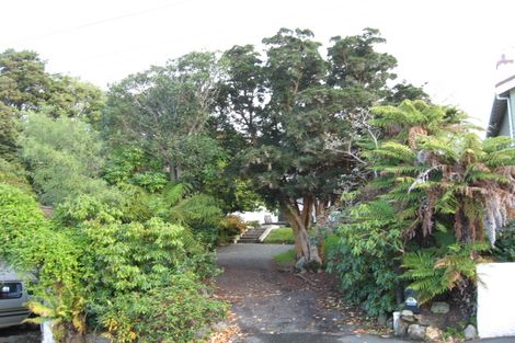 Photo of property in 28 Bruce Street, Roslyn, Dunedin, 9011
