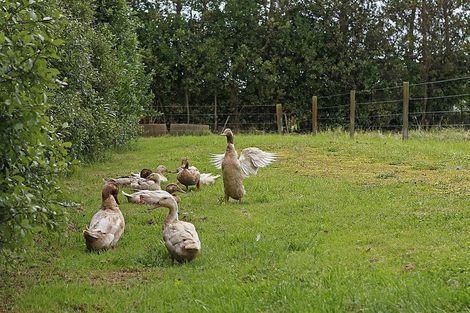 Photo of property in 232 Ngariki Road, Rahotu, Opunake, 4684