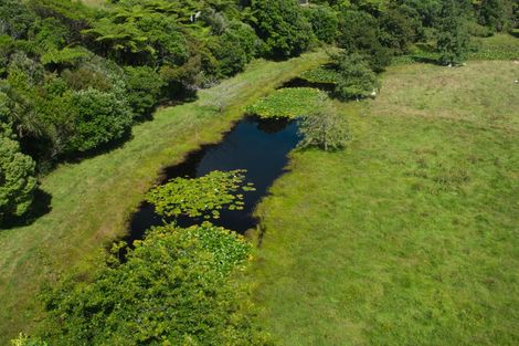 Photo of property in 68 Saltwater Creek Road, Rutherglen, Greymouth, 7805