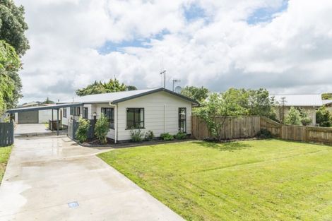 Photo of property in 33 Kowhai Street, Tokomaru, Palmerston North, 4474