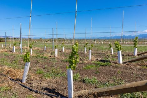 Photo of property in 365 Jones Road, Grovetown, Blenheim, 7273