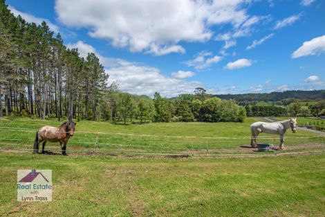Photo of property in 93 Mclennan Road, Whakapara, Hikurangi, 0182