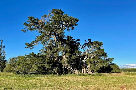 Photo of property in 48 Gardiners Road, Starvation Hill, 7495