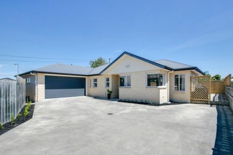 Photo of property in 315 Lumsden Road, Akina, Hastings, 4122