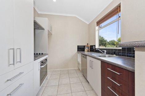 Photo of property in 37a Abbotsford Street, Whitiora, Hamilton, 3200