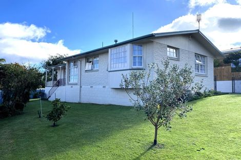 Photo of property in 207 Reservoir Road, Thames, 3500